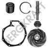 BERGKRAFT BK5167722WP Repair Kit, water pump